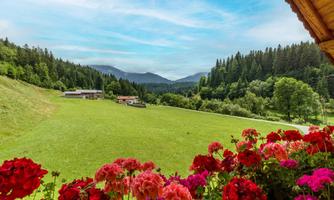 A beautiful landscape with green meadows and mountains in the background. Colorful flowers adorn the foreground.