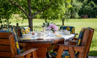 A beautifully set table outdoors under a tree. The surroundings are green and inviting, perfect for an al fresco meal.
