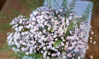 A beautiful bouquet of small pink flowers and green leaves. The stylish arrangement conveys a fresh and vibrant atmosphere.