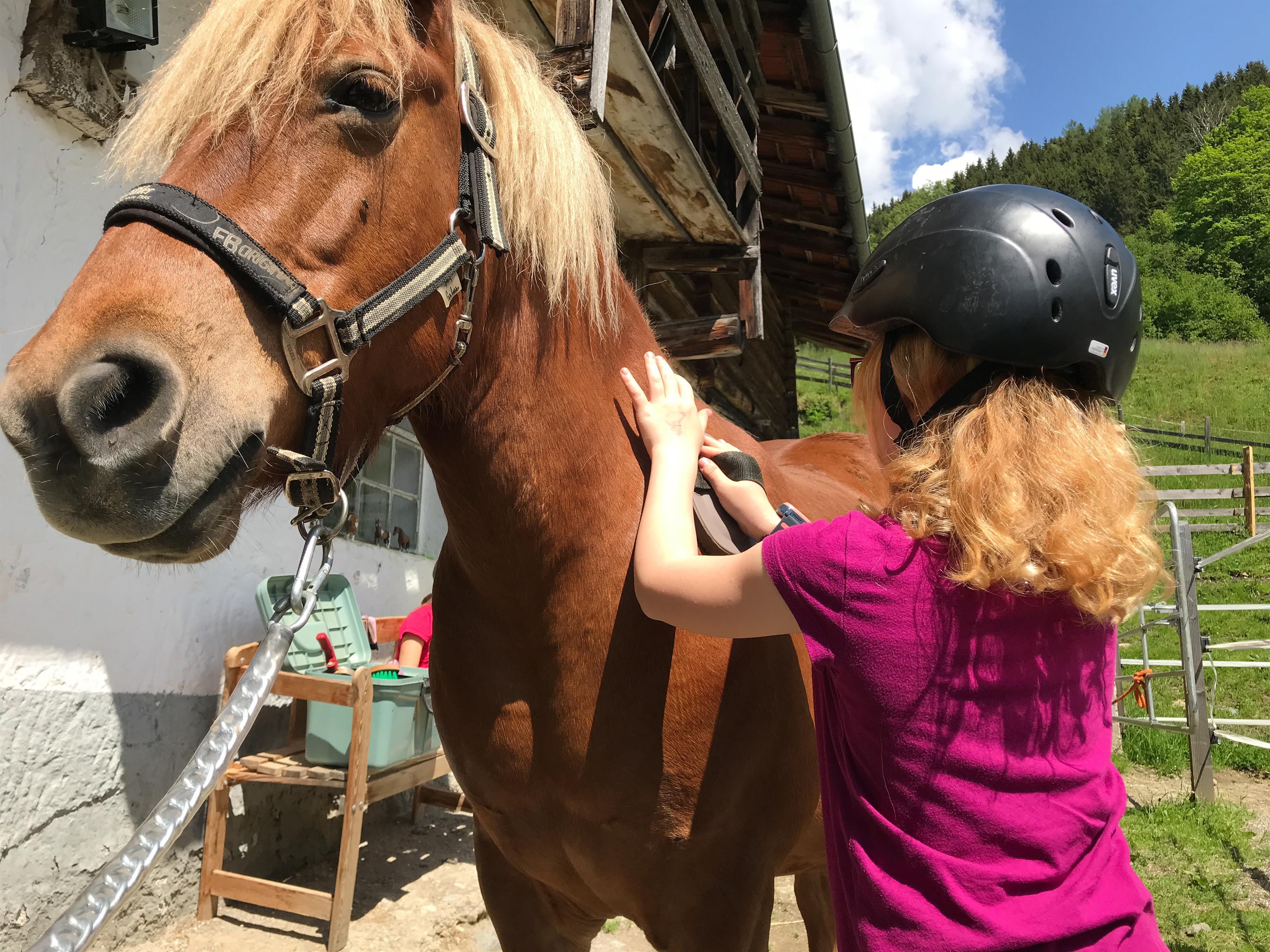Kinderferienprogramm | Ponyzeit