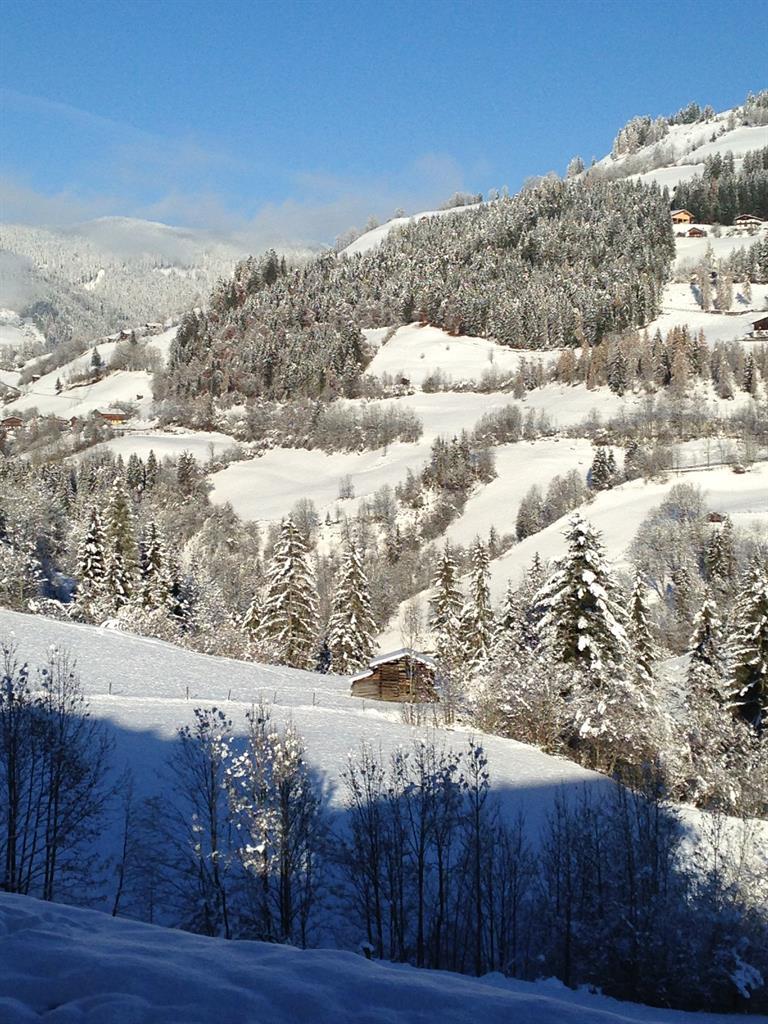 Aussicht vom Haus