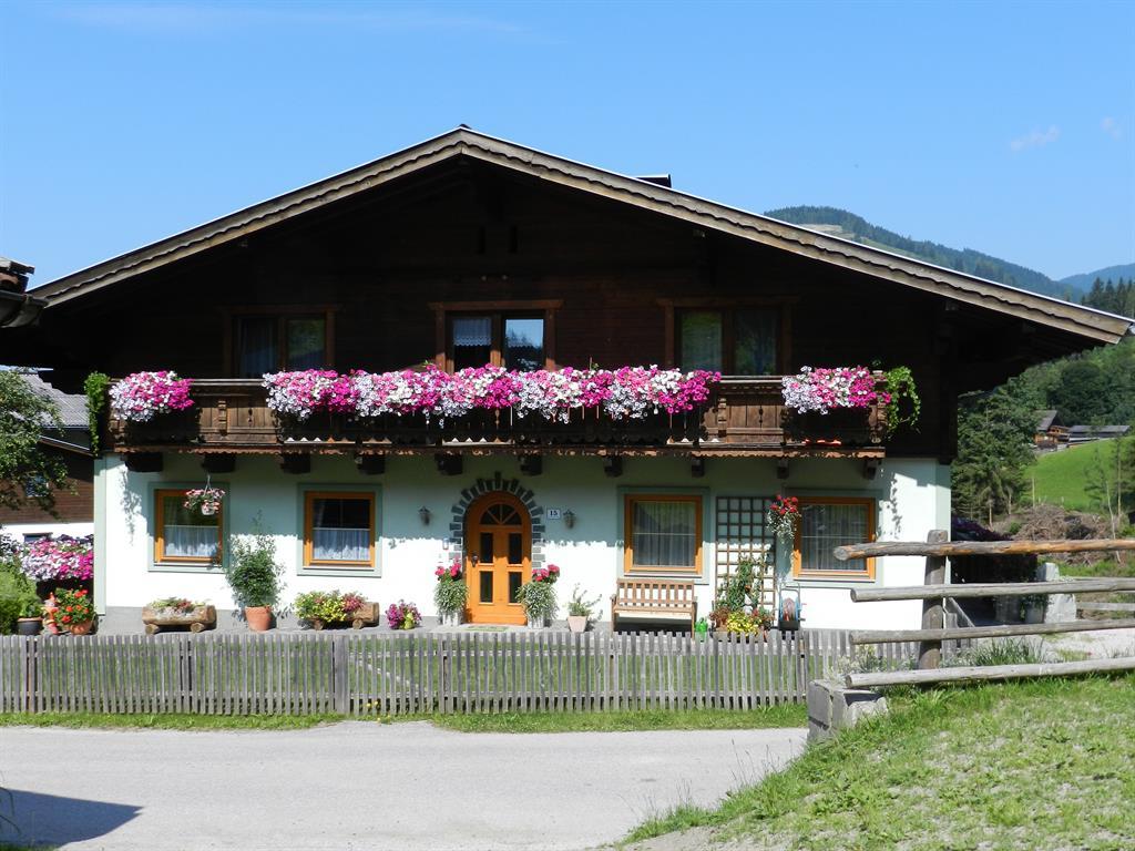 Kleinwidmoos im Sommer
