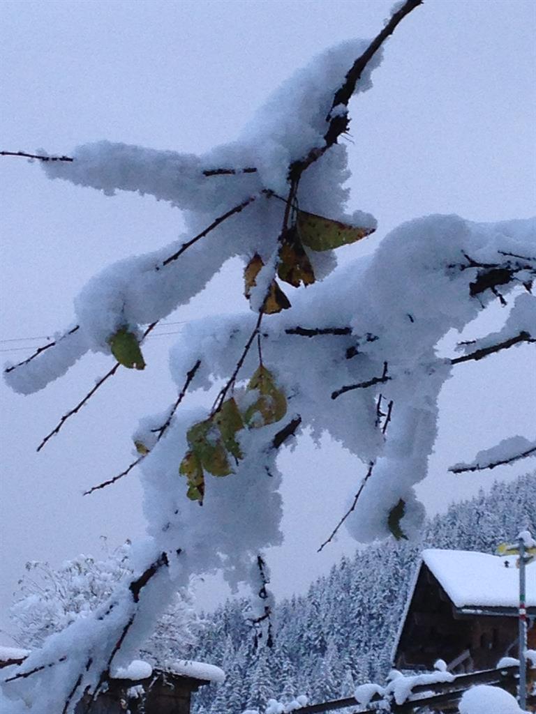 Winterimpression