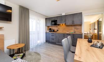 A modern apartment with an open kitchen and a cozy living area.  <br/>Large windows provide plenty of daylight.  <br/>In the living/sleeping area, there is a sofa bed available and a television is installed.