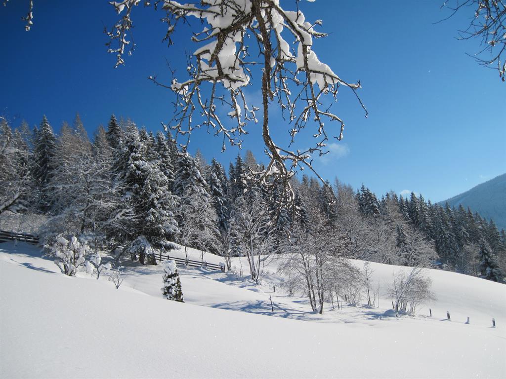 Winterlandschaft beim Arzberghof