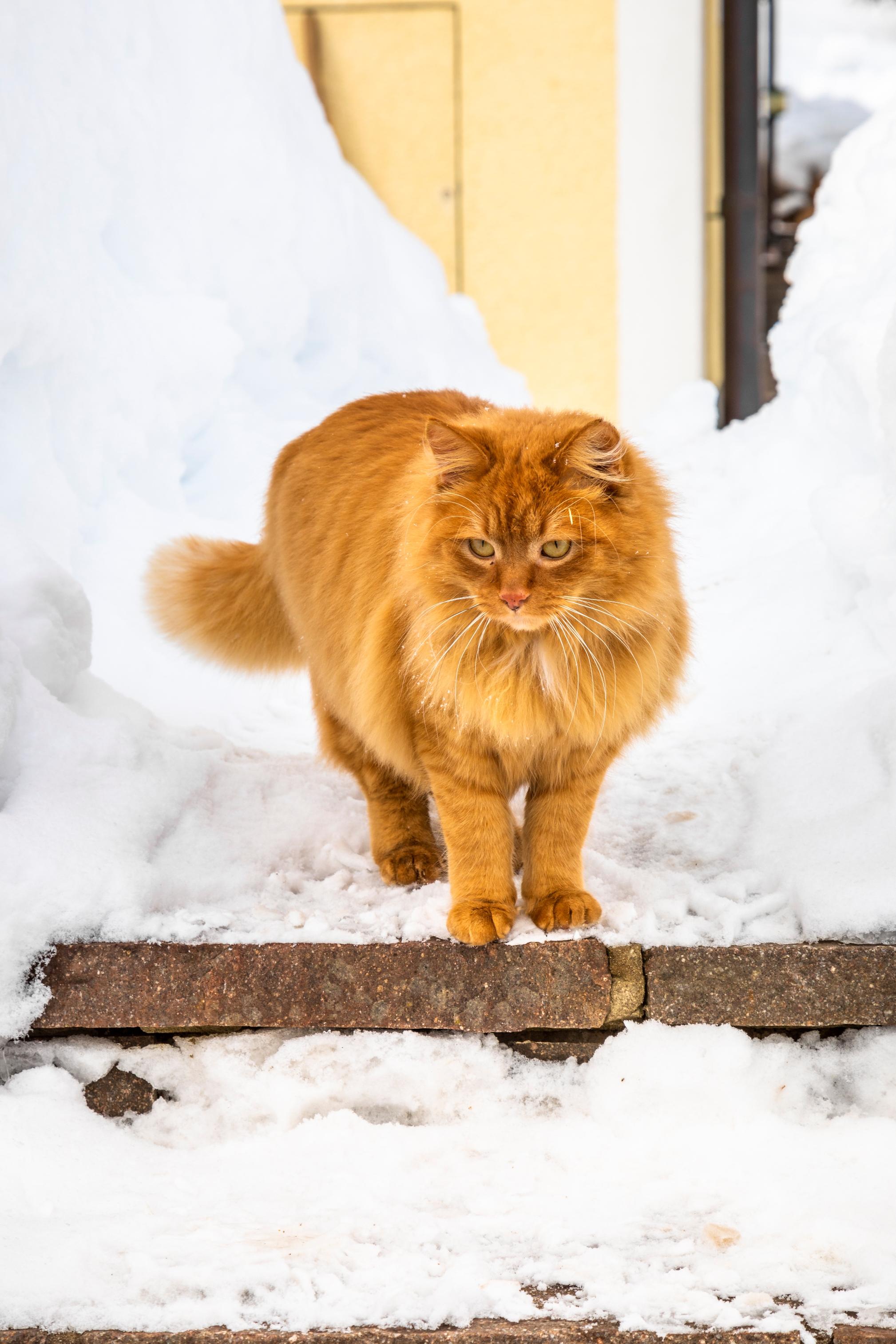 20190131_PrechtlhofAussenWinter_293