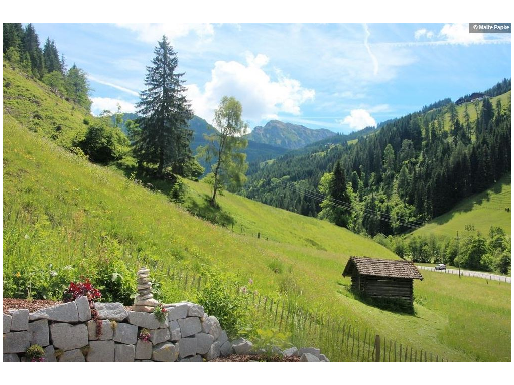 Blick von der Terasse 2 