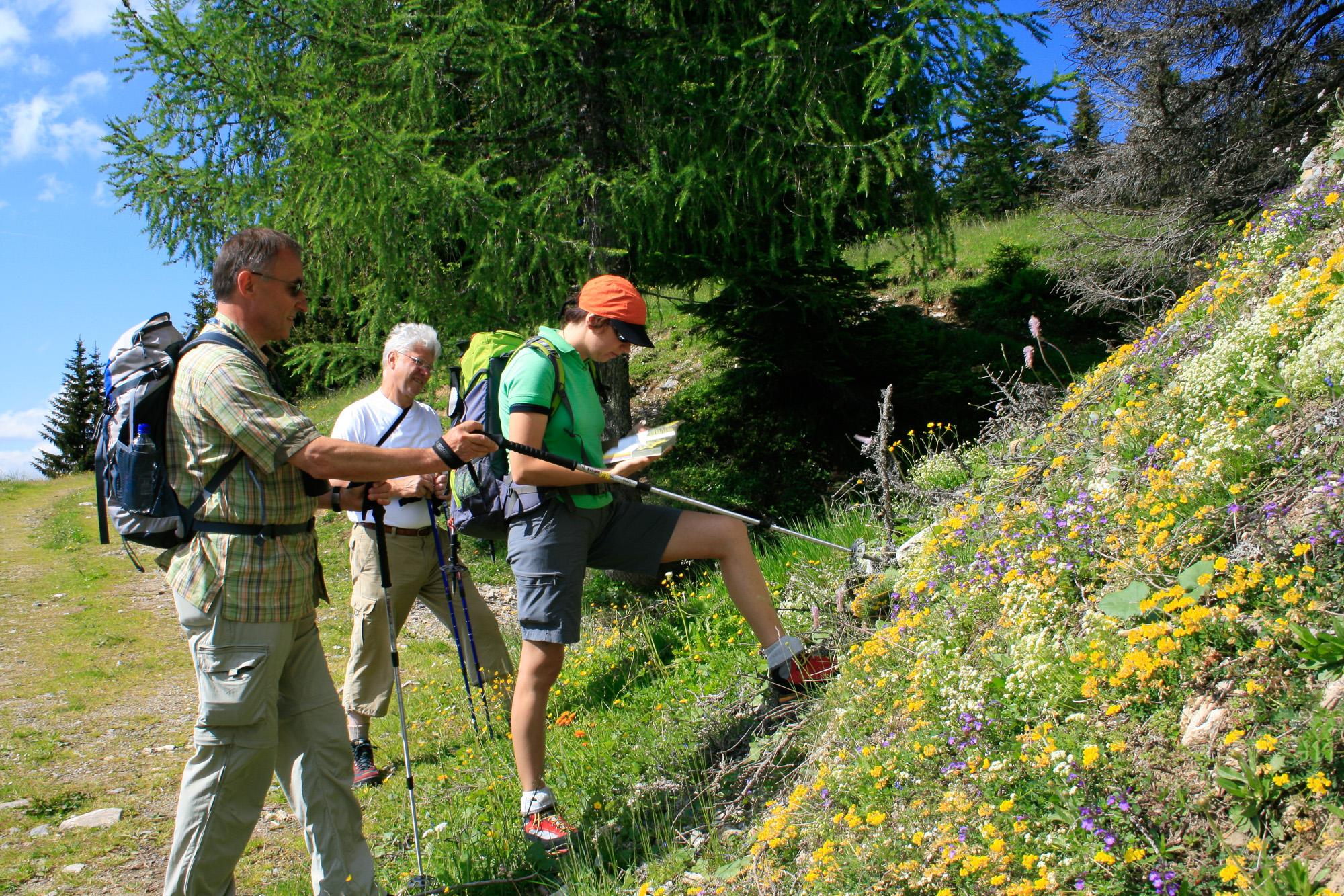 Geführte Wanderung von Neuberg in die Hofalm