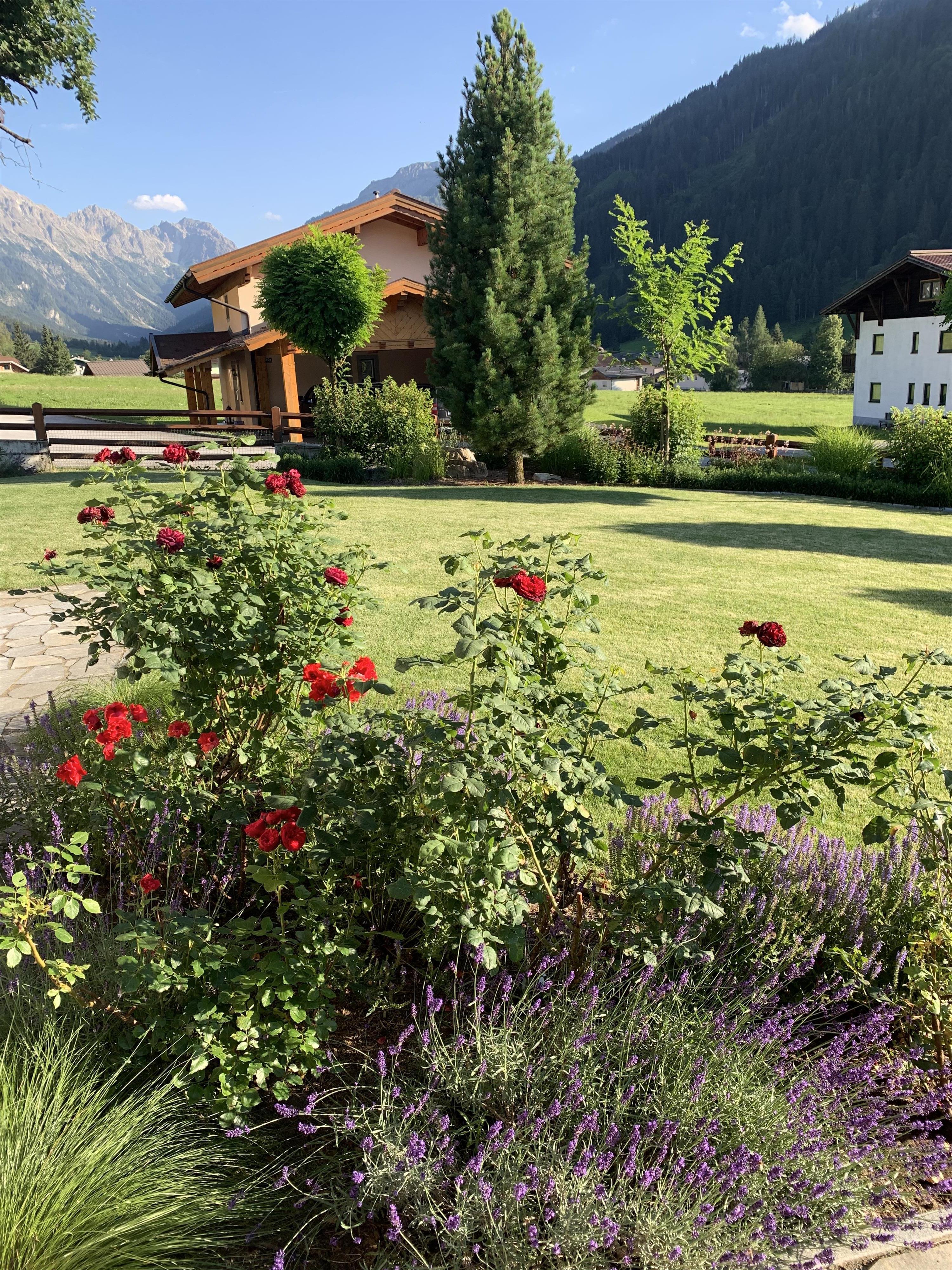 A beautiful garden with red roses and lavender. In the background, there are mountains and a typical alpine neighboring house.
