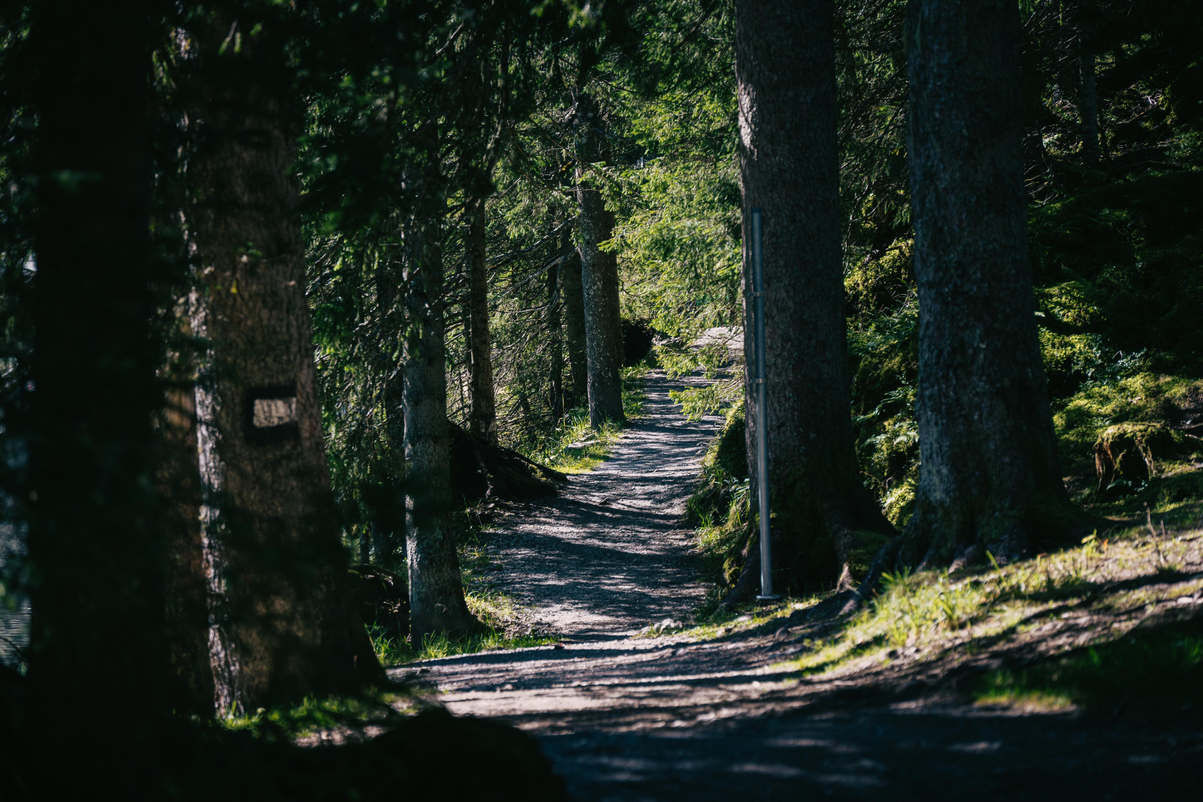 Waldbaden im Zauchbachtal