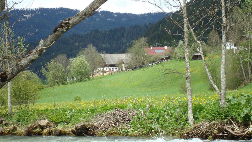 Ausblick im Sommer