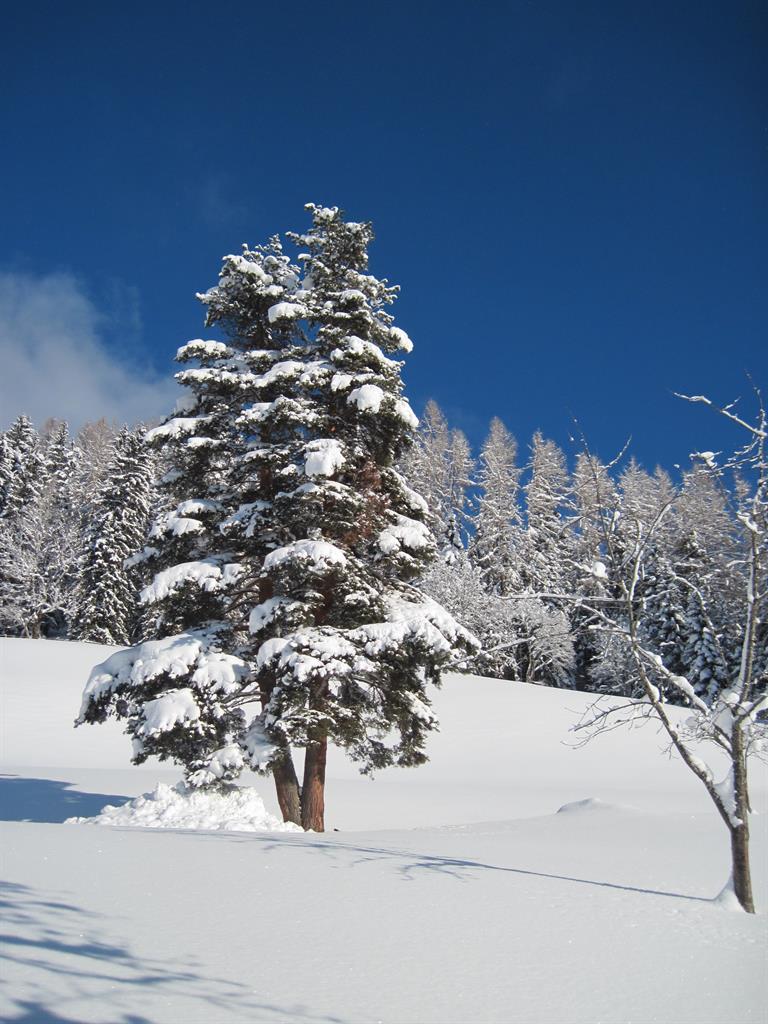 Winterlandschaft beim Arzberghof