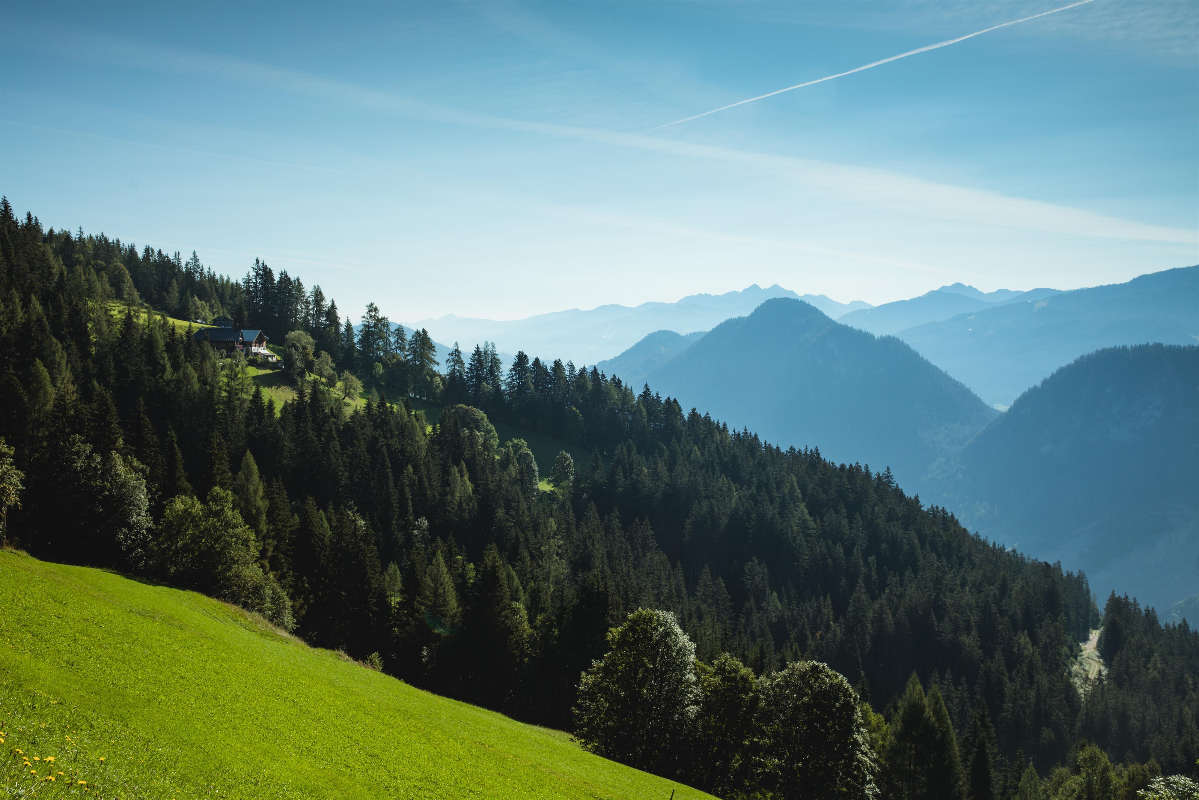 Waldbaden