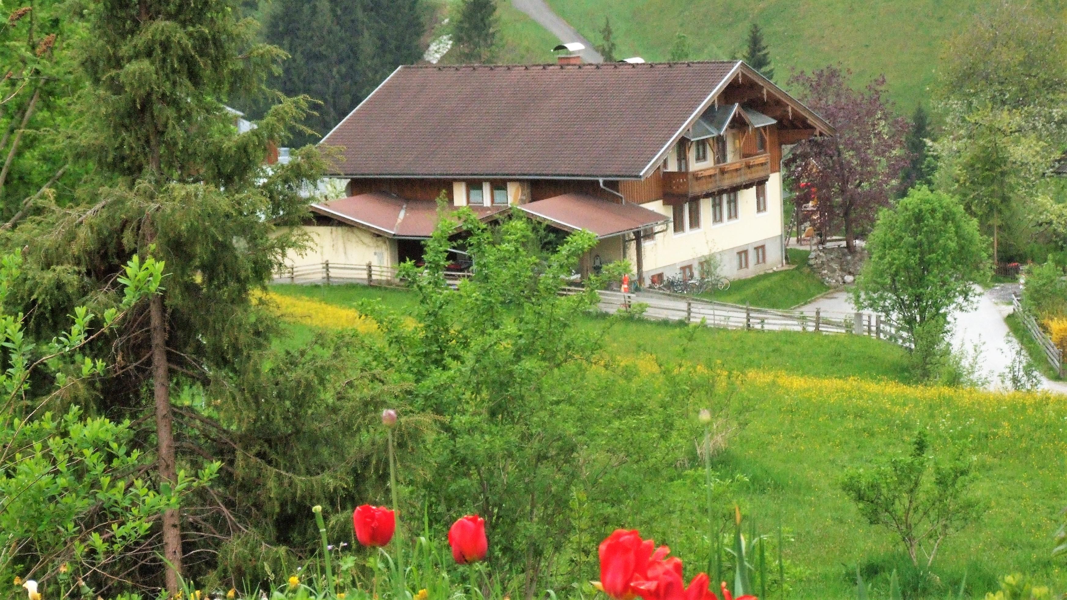 A beautiful alpine house in a green landscape with flowers in the foreground. In the background, gentle hills and trees can be seen.