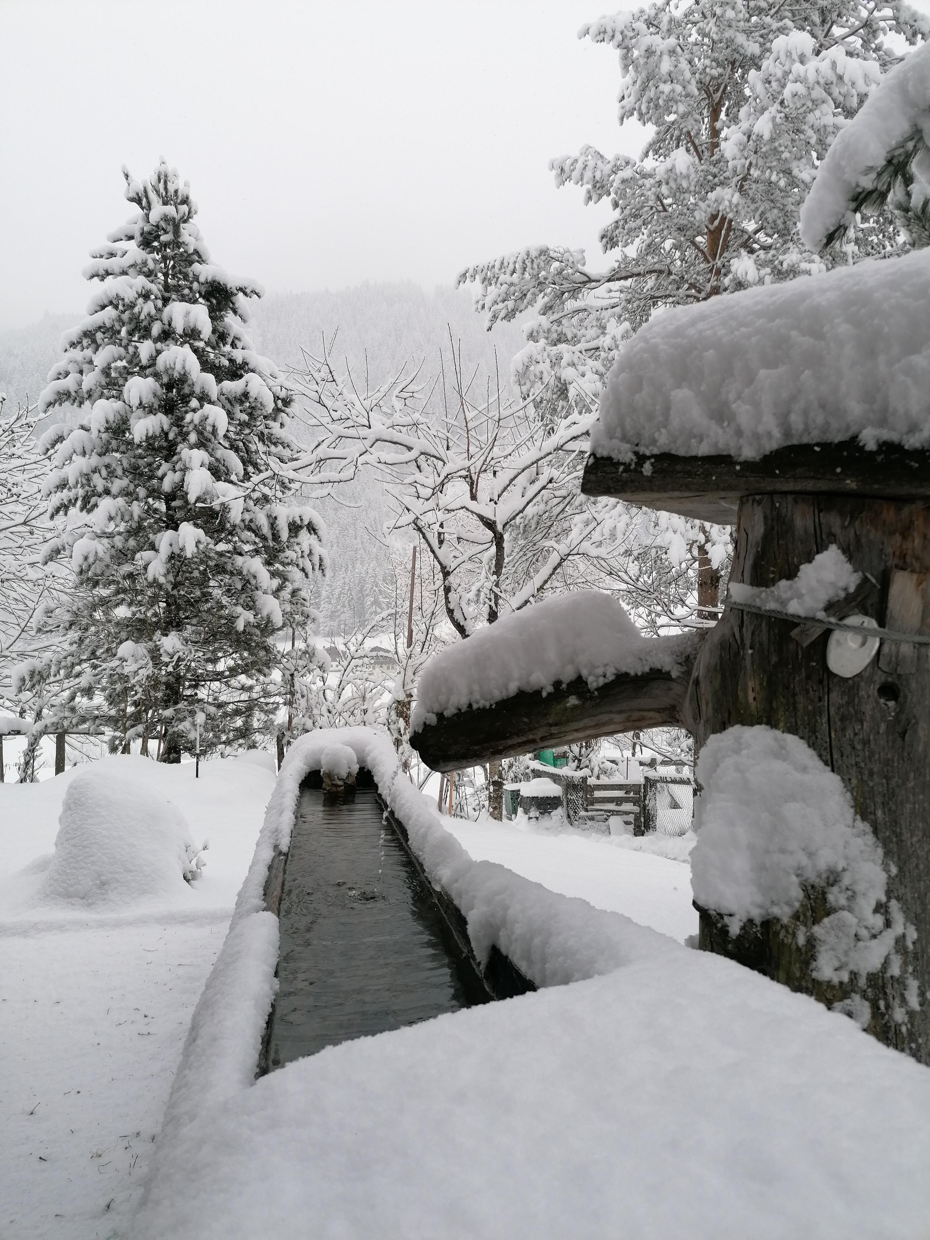 Winter Wonderland