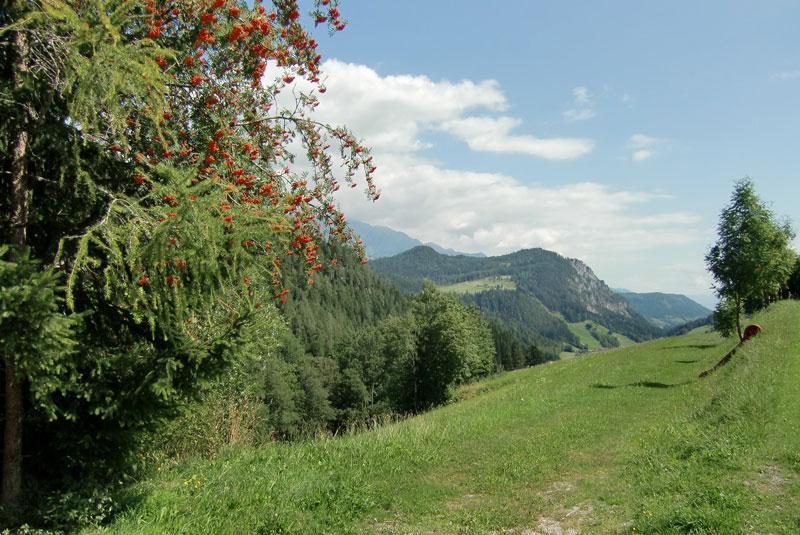 View from the Höllerhof
