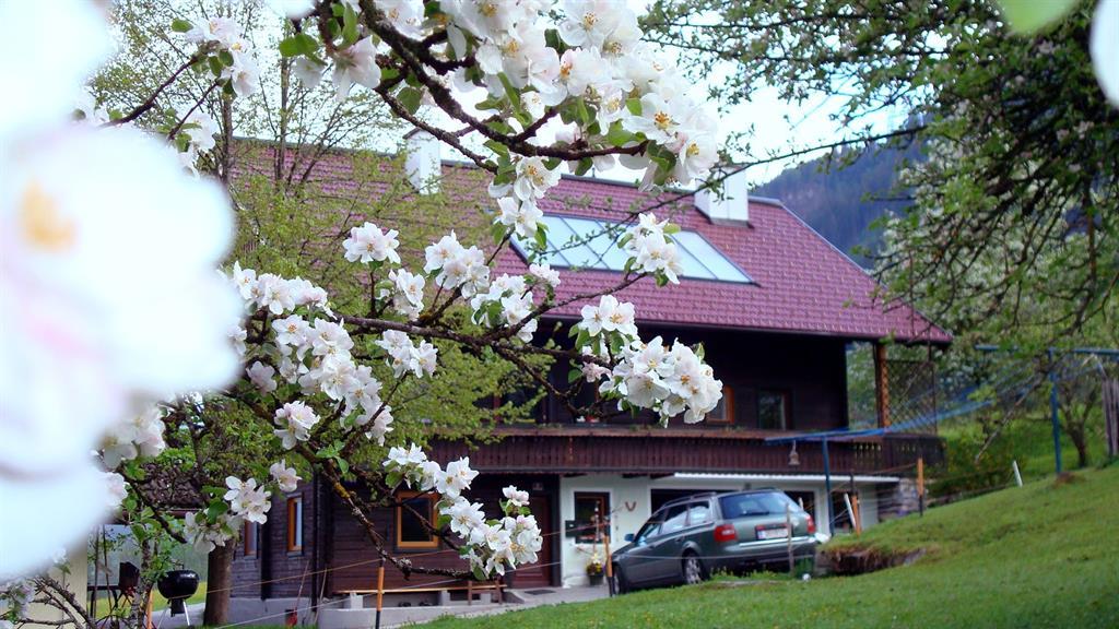 Frühling am Pöttlerhof in Radstadt