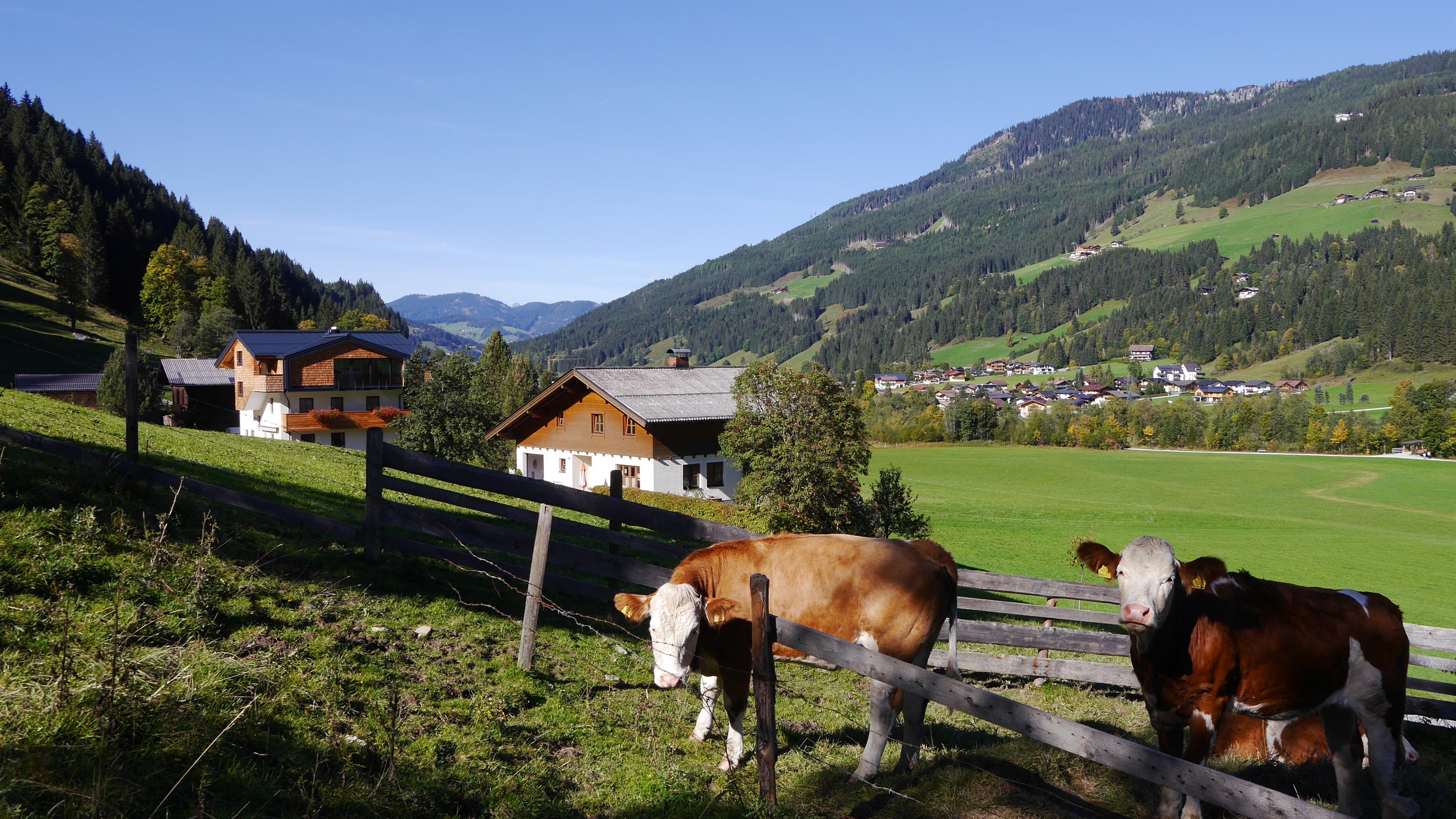 Oberauhof - Kleinarltal nach Norden