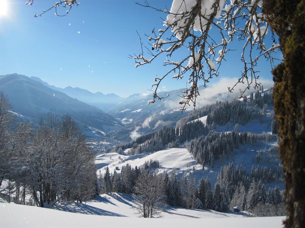Ausblick