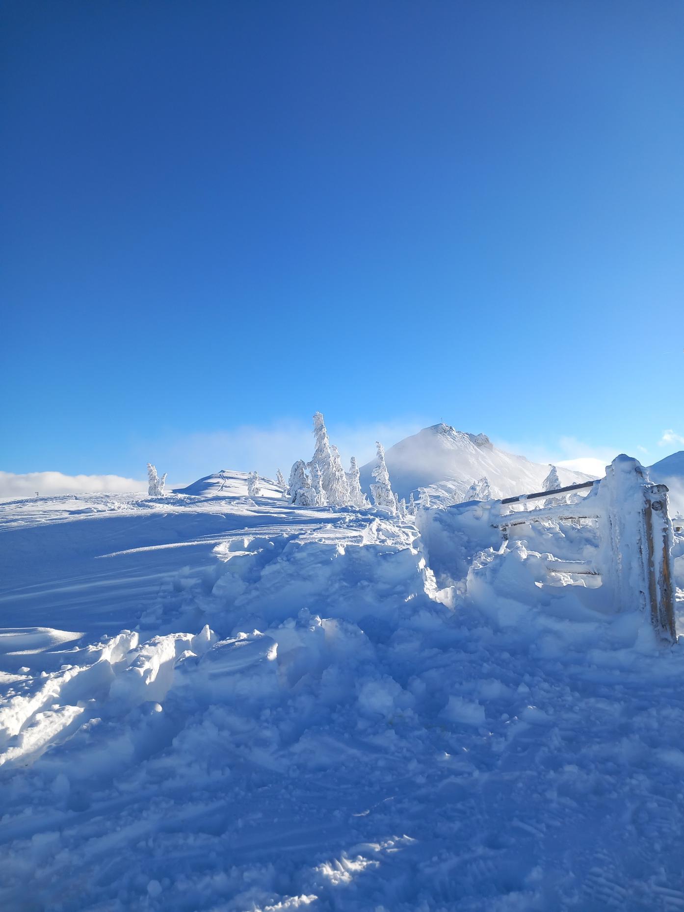 A snow-covered landscape with tall snow-covered trees and a clear blue sky. The scene conveys a peaceful winter atmosphere.