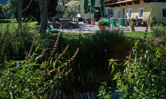 Garden with pond