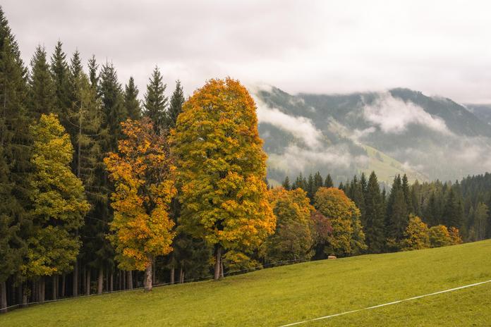 Geführte Herbstwanderung auf dem Bauernregelweg