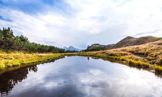 Herbst Gallerie (5)