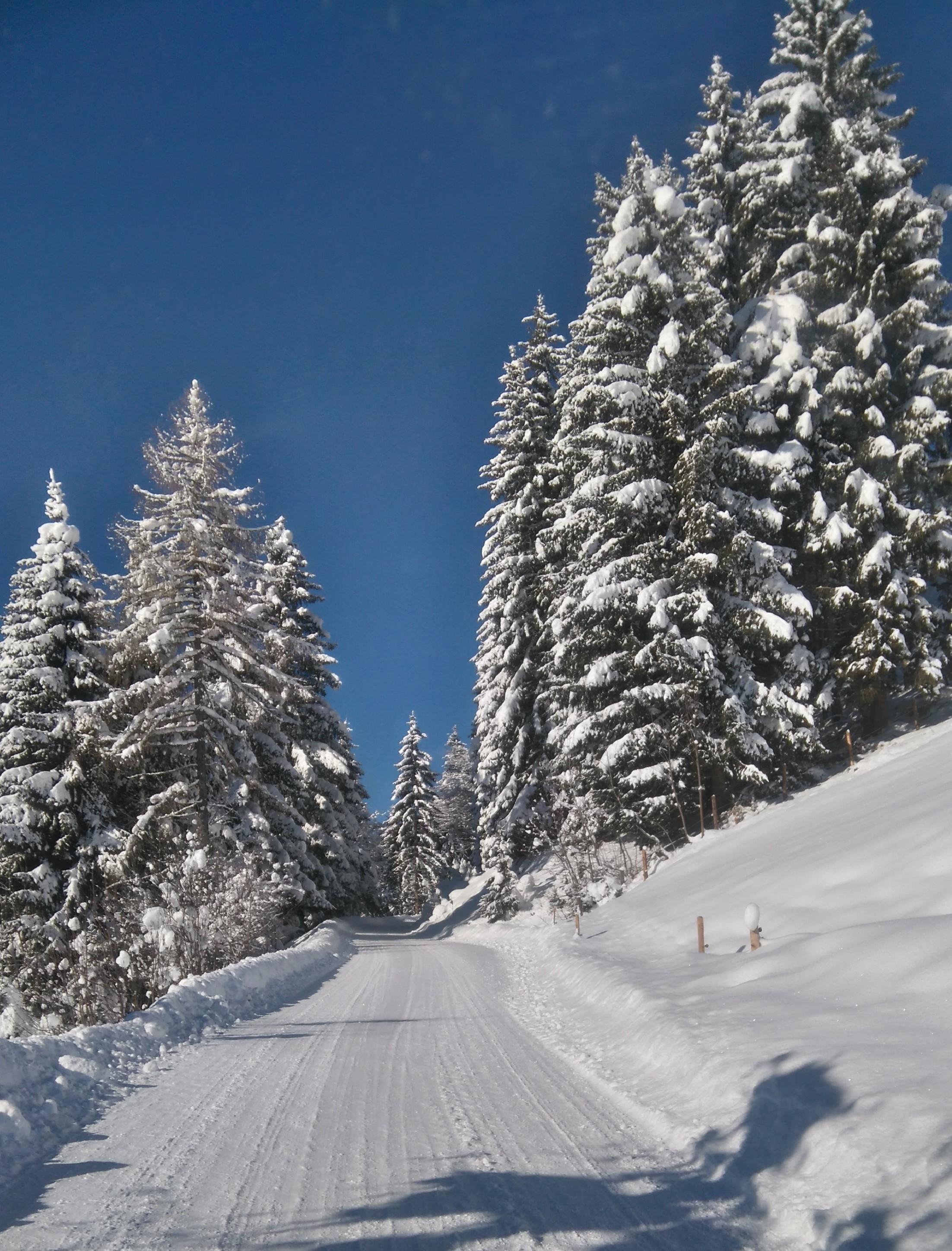 Straße zum Arzberghof