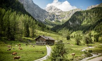 HM_Flachau_0225Web