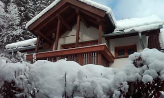 IMG03243-20111208-1038