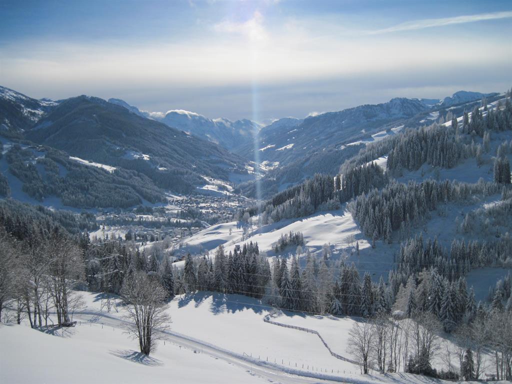 Blick auf Wagrain