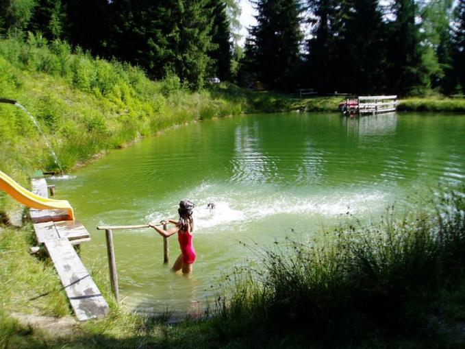 Fischteich Reitlehenalm