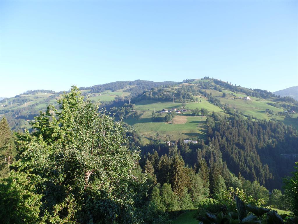 SAM_0340