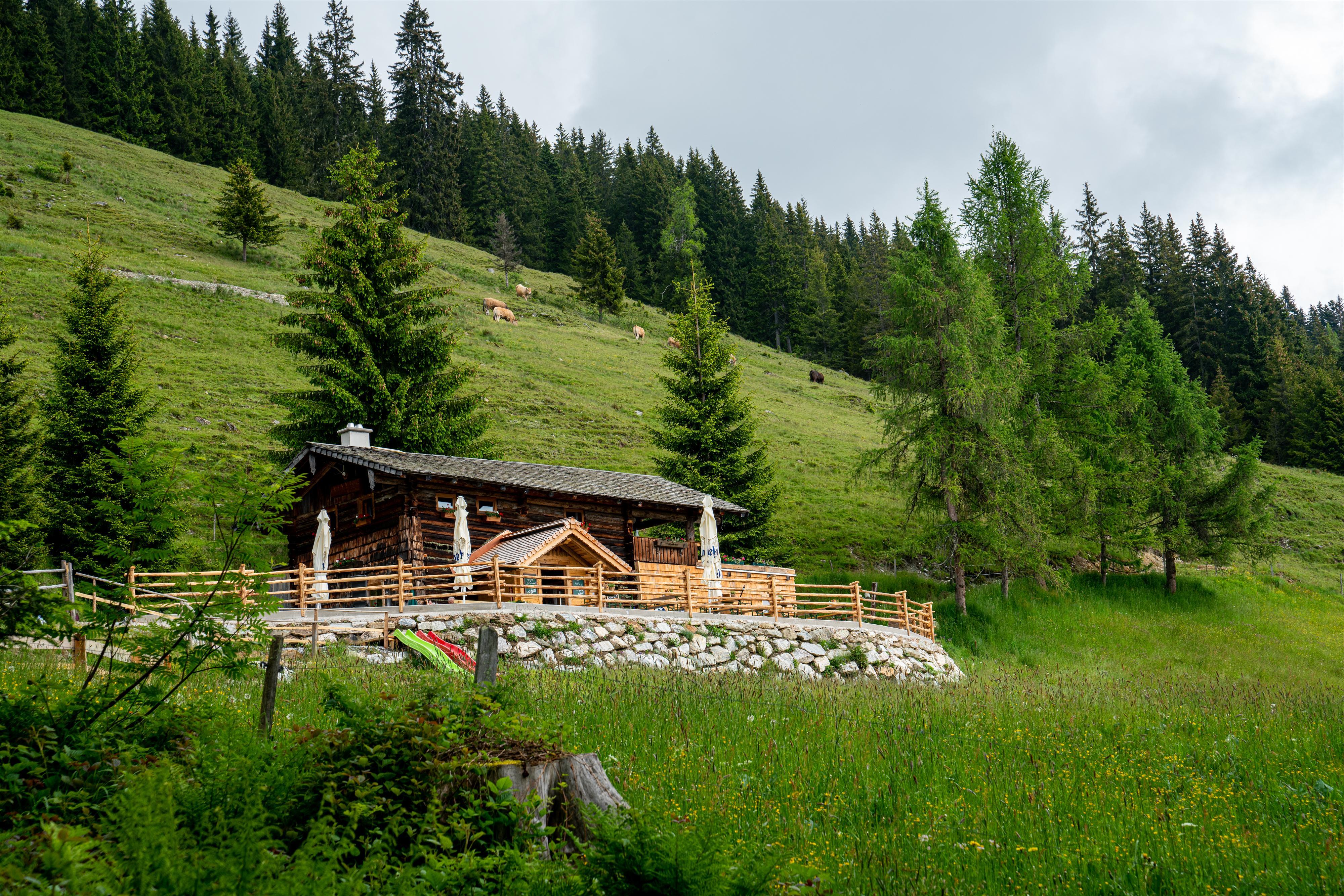 Bauernhofroas – Oberhagmoosalm Radstadt