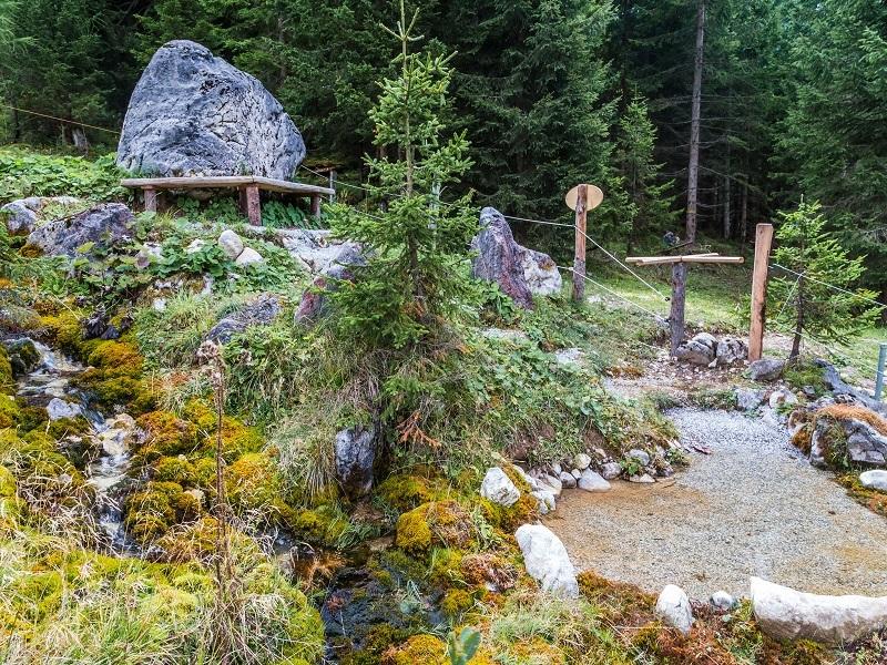 Geführte Kraftplatzwanderung „Du & die Natur“
