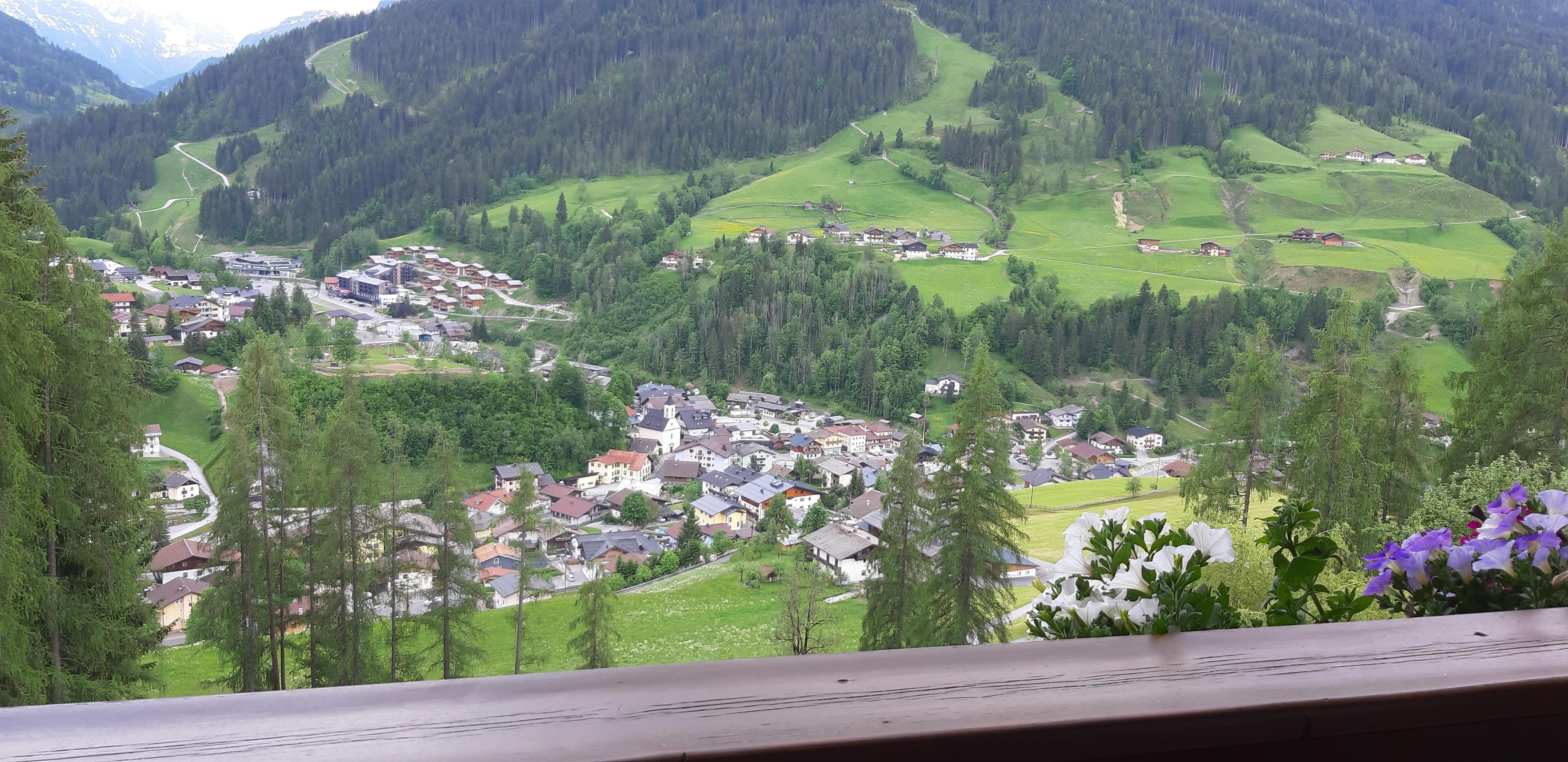 A picturesque mountain landscape with a small village and green meadows. In the foreground, blooming plants can be seen.