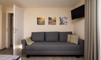 A modern bedroom with a cozy double couch as a sleeper sofa. A television is installed in the bedroom.