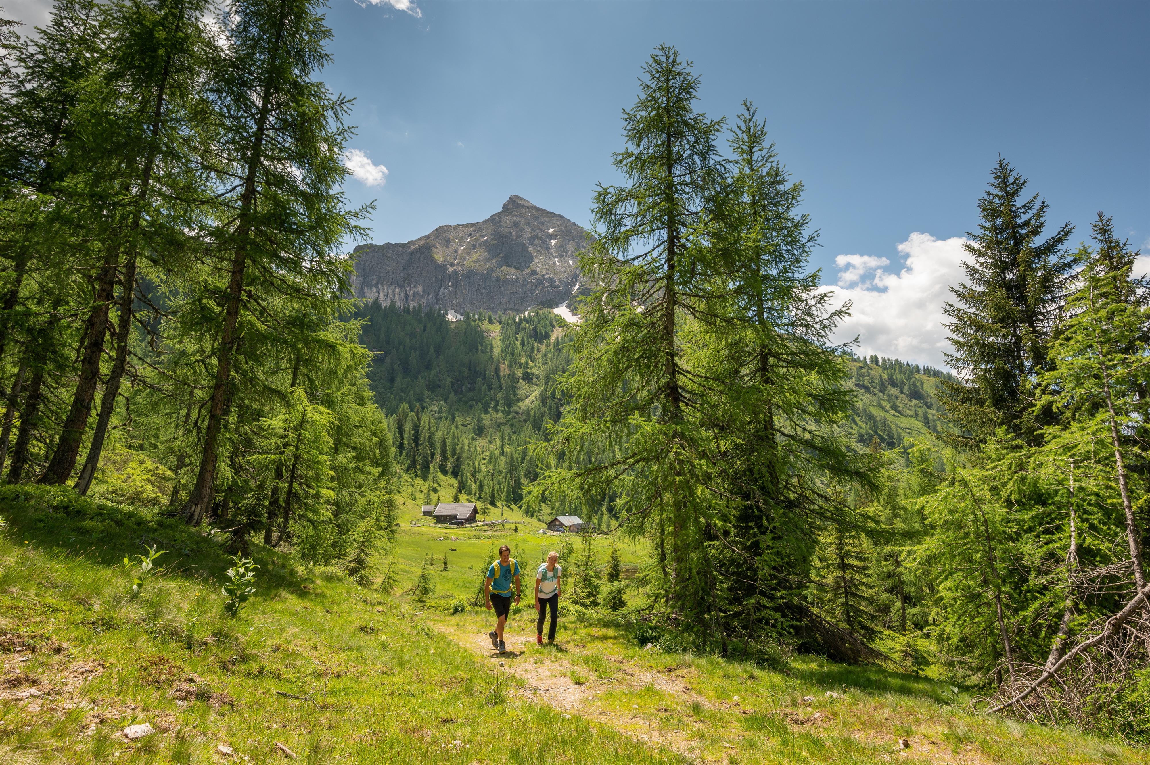 Geführte Wanderung: Mooskopf 1.961m – Weissenhofalm – Gasthaus Galler