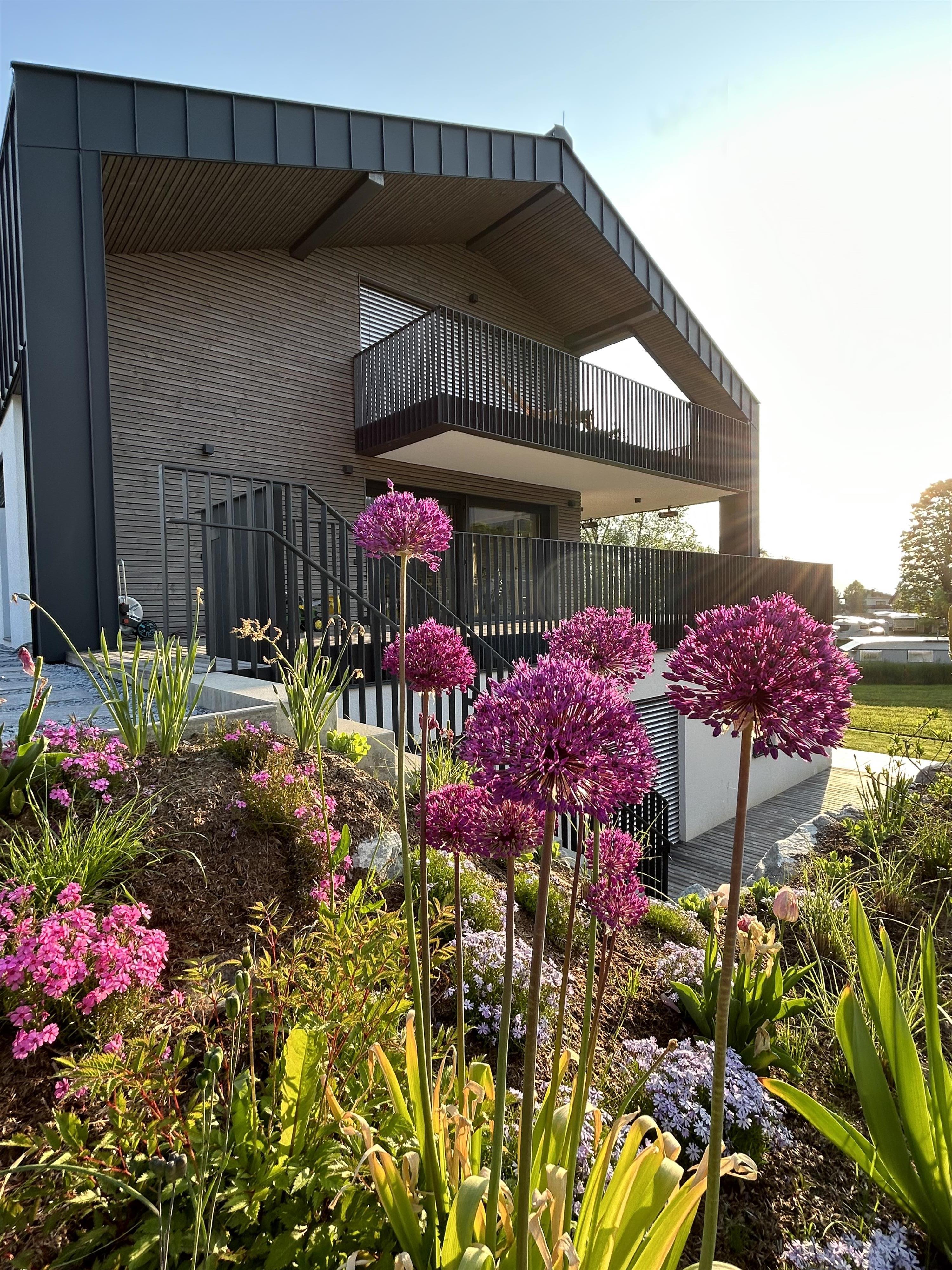 A modern house with terraces and beautiful garden landscape. Colorful flowers, especially purple Allium, are blooming in the foreground.