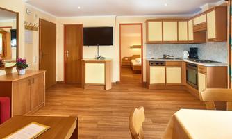 appartement-typ-b-wohn-und-essbereich