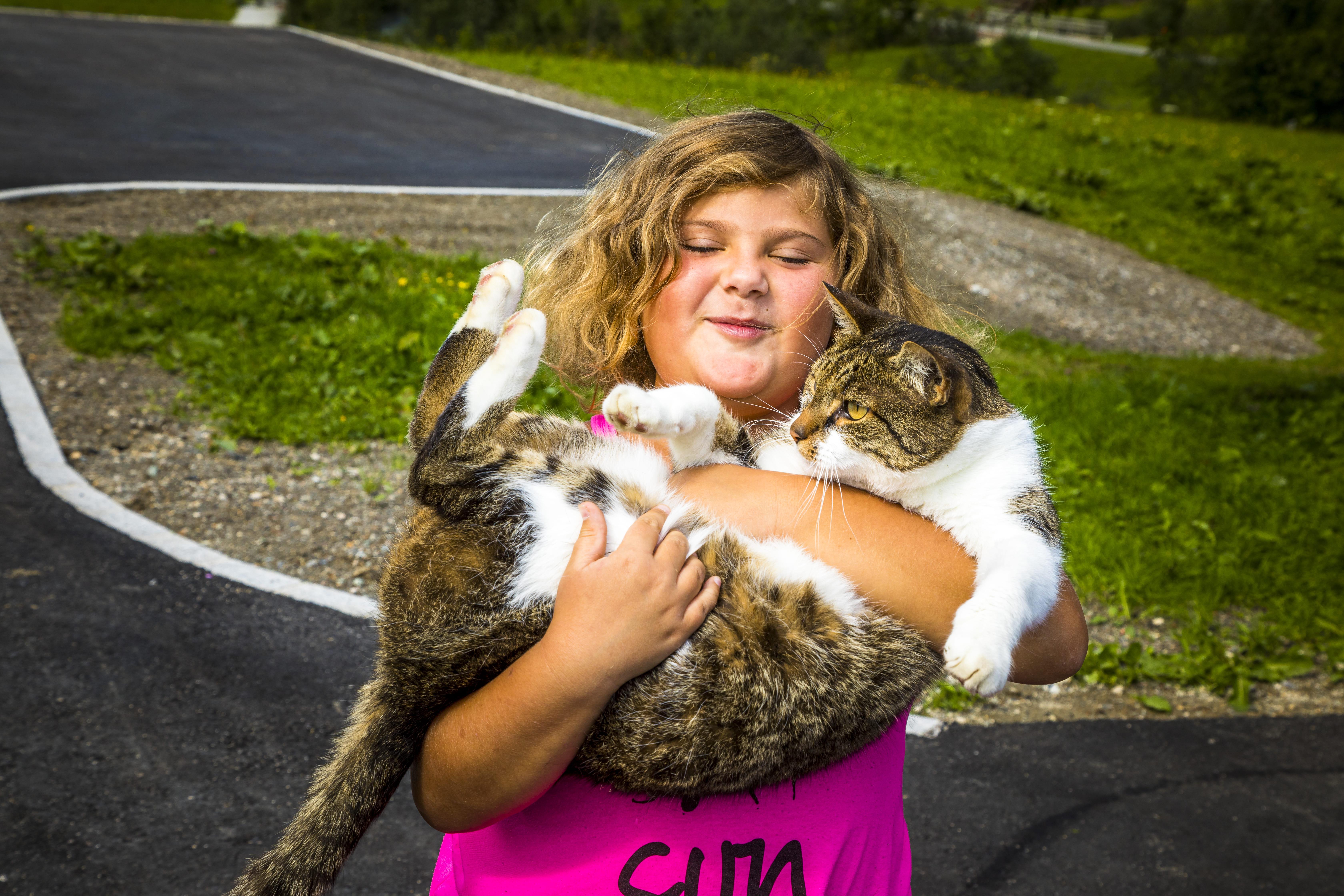 unsere Katze Burli