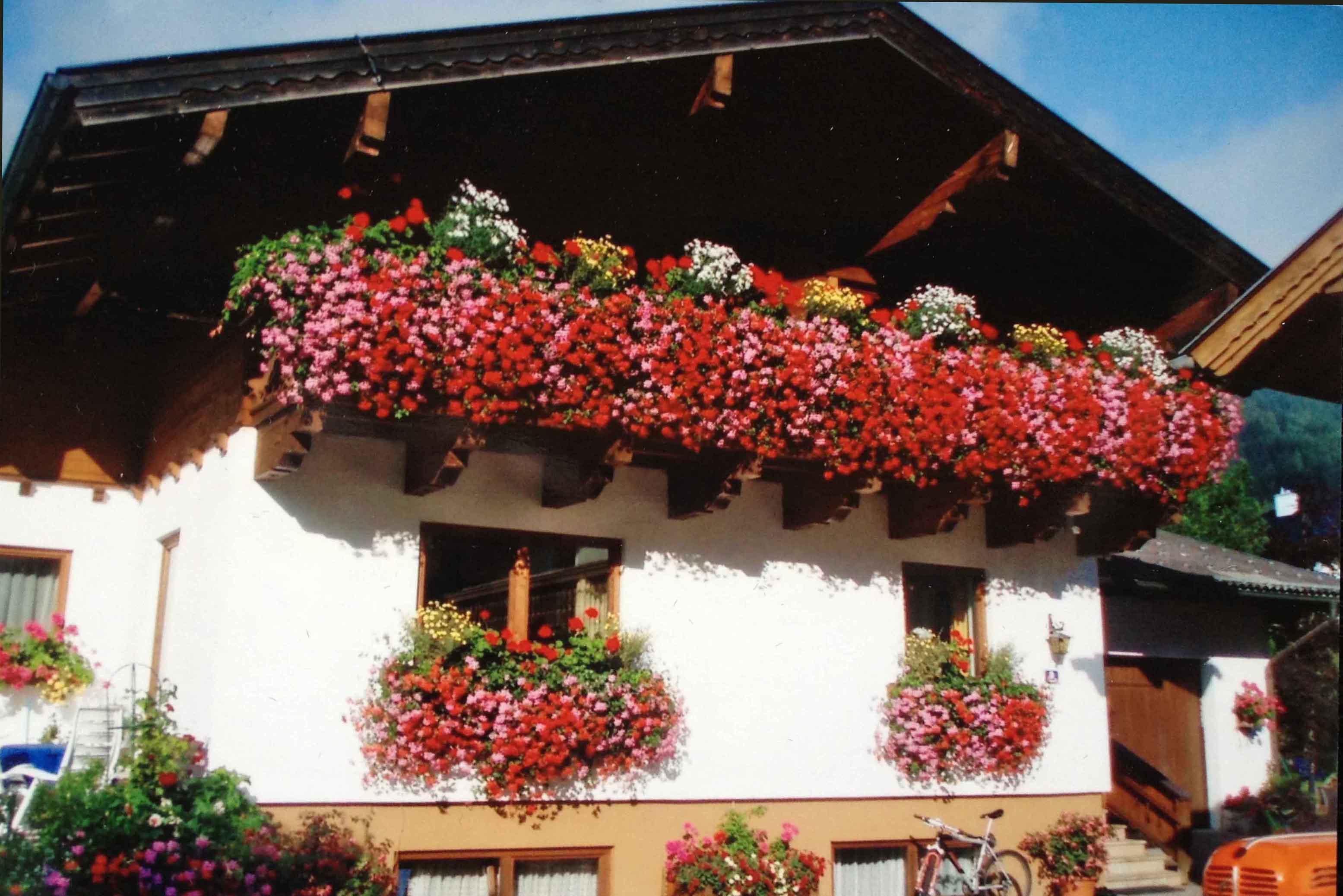 Hausfoto Sommer2