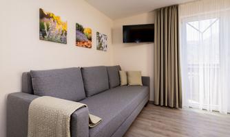 A cozy modern bedroom with a double couch as a sofa bed and a TV on the wall. Large windows provide natural light.