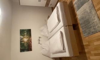 A modern bedroom with a double bed and two pillows. A picture of a forest hangs on the wall, and there is a wardrobe as well as a carpet on the floor.