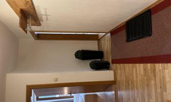 An inviting hallway with wooden floors and a red doormat. On the left side are two doors and a flower pot next to a wooden shelf.