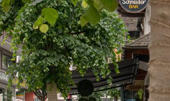 A busy street with plants and trees. In the background, there is a café named "Schneider Bar" and some bicycles are waiting.