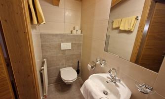 A small, modern bathroom with a shower, a sink, and a toilet. It is bright and inviting, with wooden and tiled elements.