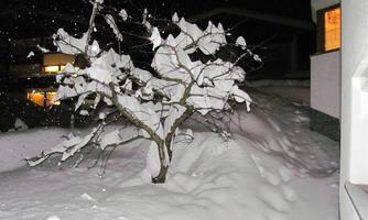 A snow-covered tree at night, surrounded by a thick blanket of snow. In the background, faint lights from buildings can be seen.