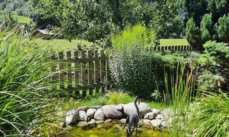 A tranquil garden with a small pond and a stork.  
Surrounded by lush greenery and mountains in the background.