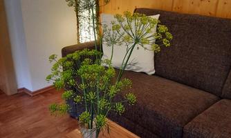 A modern furnished living room with a sofa and a table. Fresh plants are in a vase, adding a green touch to the space.